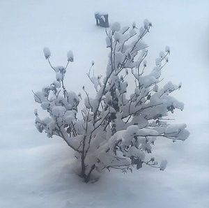 Meet your Posher, Judy